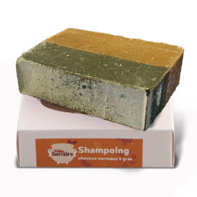 Savon Shampoing Cheveux Normaux à Gras